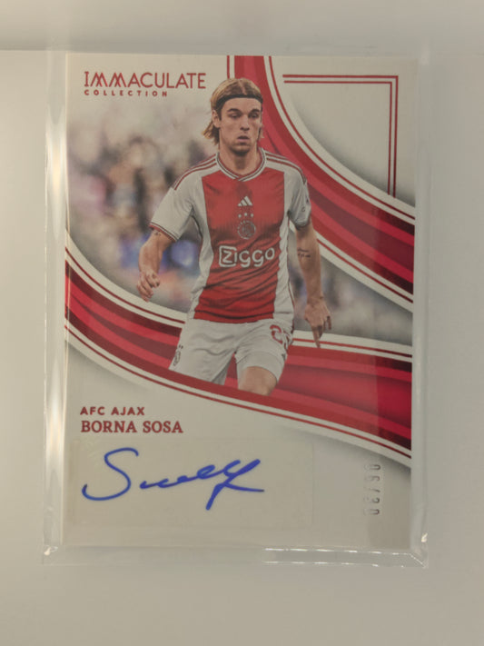 Borna Sosa auto /30 - Panini Immaculate 23/24